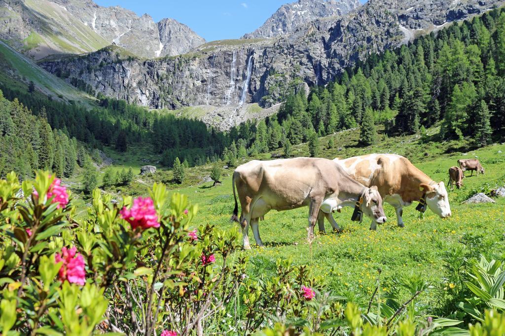Chalet Tschallener Ried im Oberinntal Zewnętrze zdjęcie